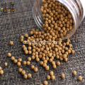 Pastillas pequeñas de ginseng y jengibre amarillo de Luoping